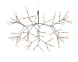 Люстра heracleum d98 br