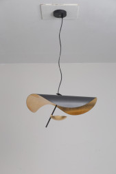 Люстра Lederam S1