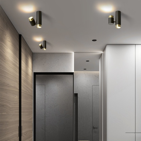 Двойной Точечный Светильник С Фиксированным И Поворотным Плафонами Sif