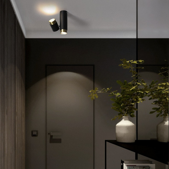 Двойной Точечный Светильник С Фиксированным И Поворотным Плафонами Sif