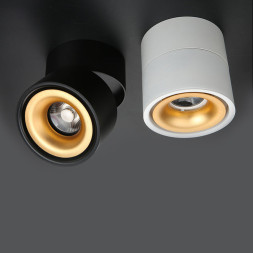 Потолочный Светильник Agenda Black+Gold 10W