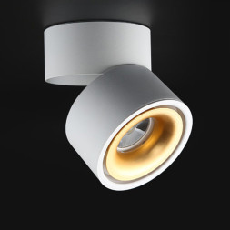 Потолочный Светильник Agenda White+Gold 10W