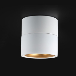 Потолочный Светильник Agenda White+Gold 3W
