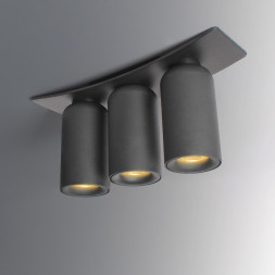 Потолочный Светильник D Trio Черный