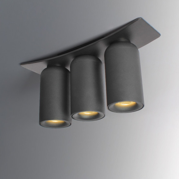 Потолочный Светильник D Trio Черный