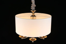 Подвесная люстра Aployt Berze APL.721.06.05