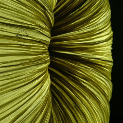 Торшер Aqua Creations Lighting Высота 100 См