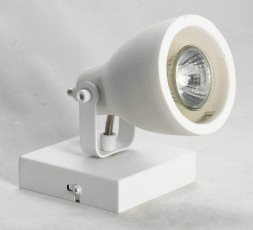 Спот Lussole Loft Ban LSP-9822