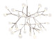 Люстра Heracleum D72